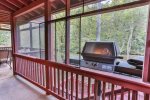Grill on the back deck with screened in porch 